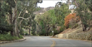 QGriffithParkRoad