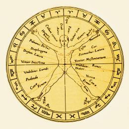 astrological-anatomy-mehau-kulyk