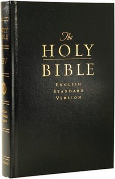 HOLY-BIBLE