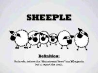Sheep EL