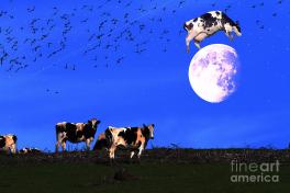 the-cow-jumped-over-the-moon-wingsdomain-art-and-photography
