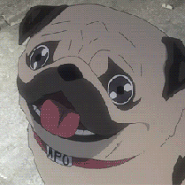 Anime-Pug-Is-Amazed-By-The-Explosion