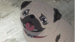 Anime-Pug-Is-Amazed-By-The-Explosion