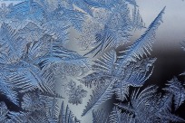 Frost_patterns_2