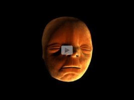 How-the-human-face-develops-on-an-embryo-in-the-womb